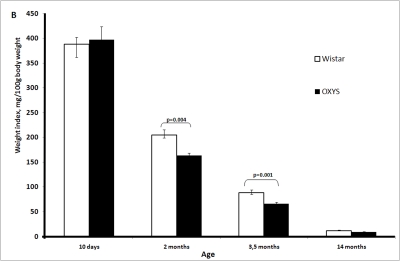 Figure 1B.