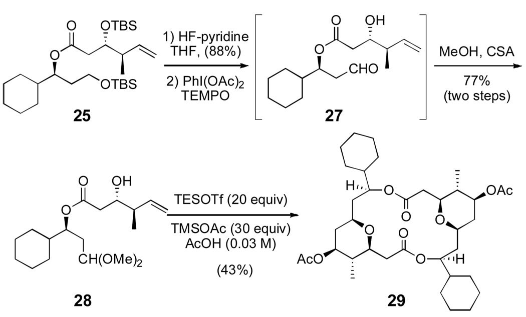 Scheme 5