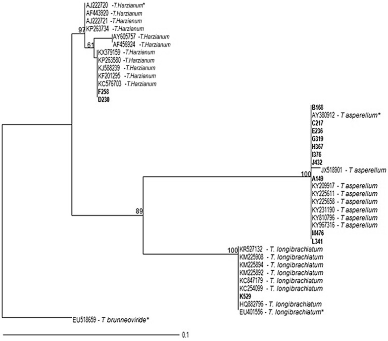 Fig. 3