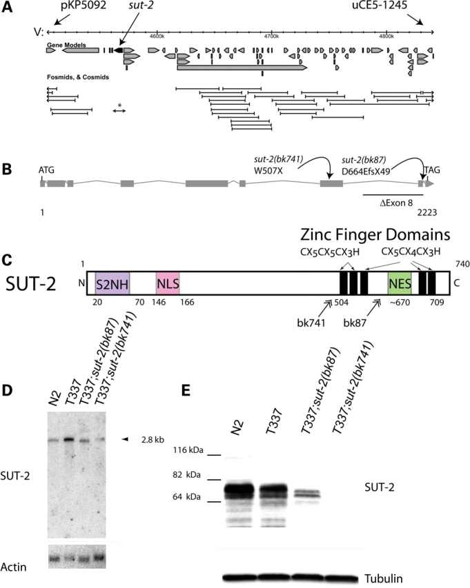 Figure 2.