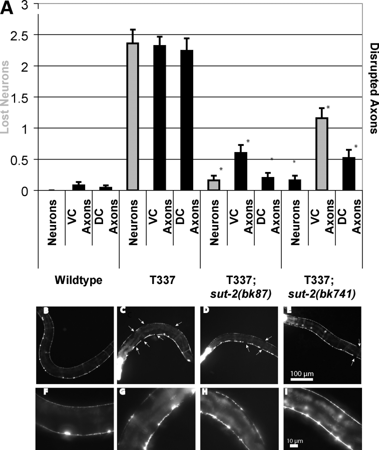 Figure 6.