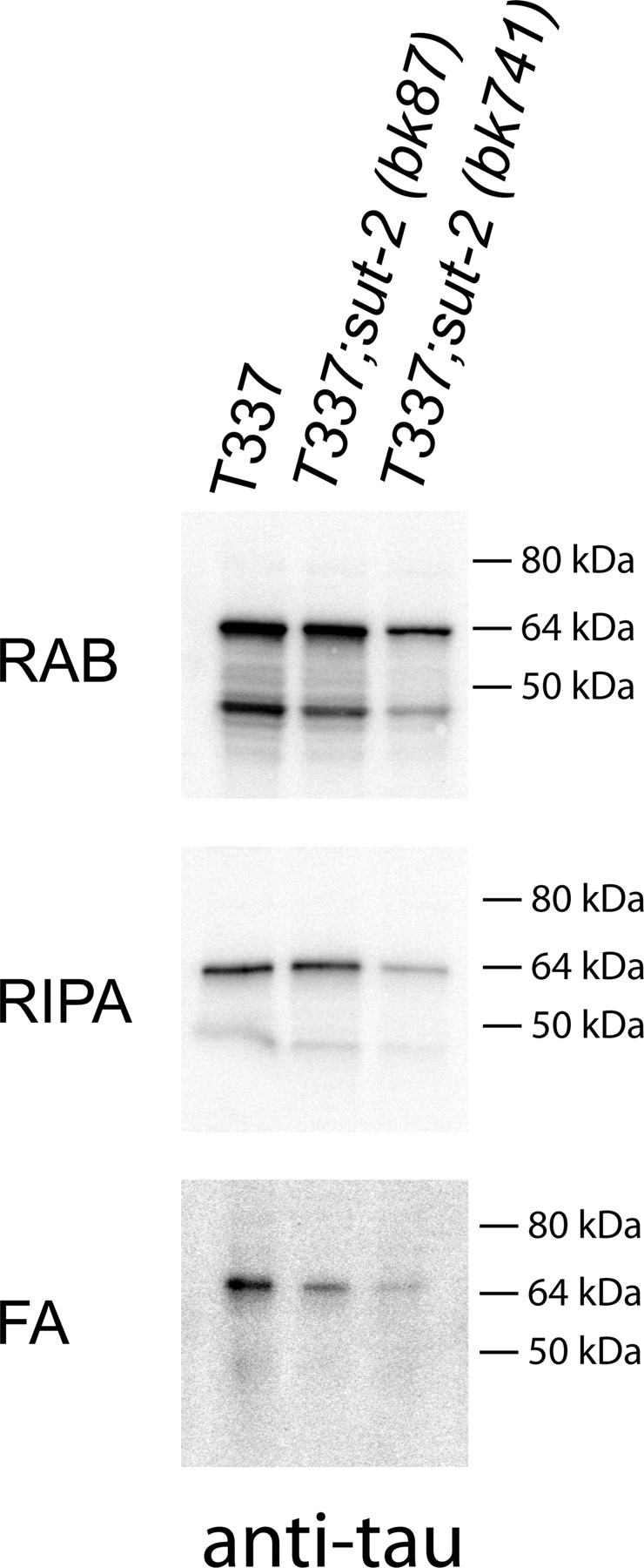 Figure 5.