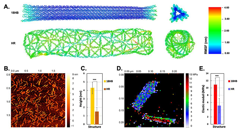 Figure 2