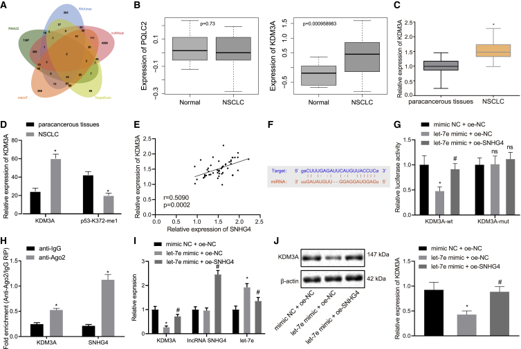 Figure 4