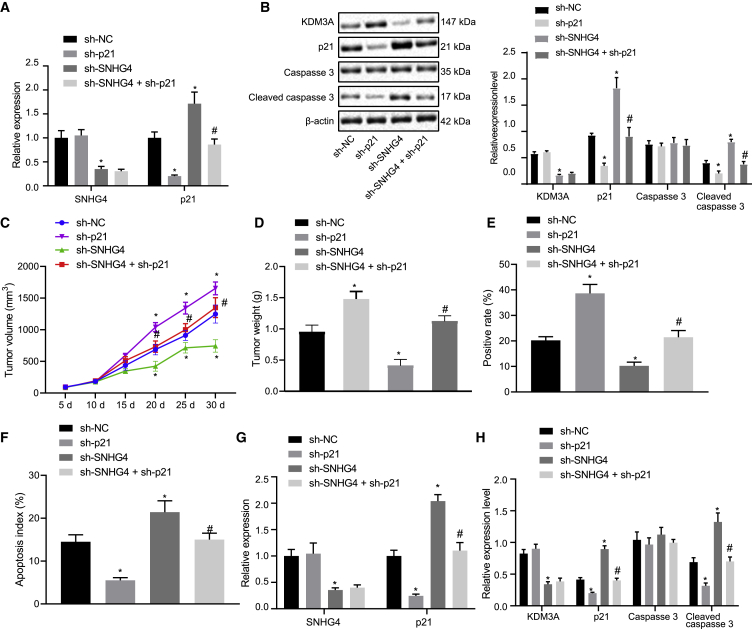 Figure 6