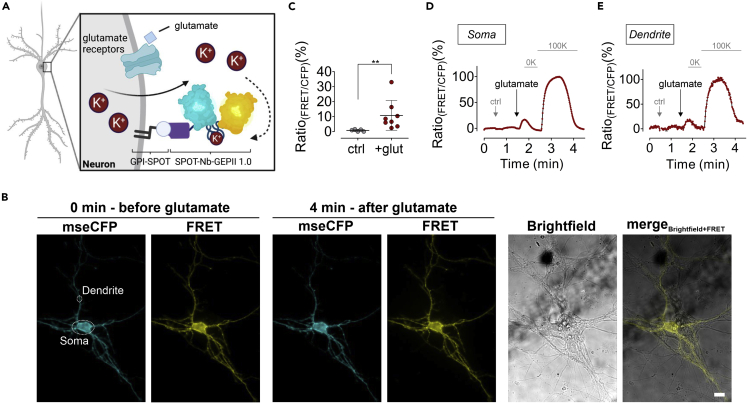 Figure 3