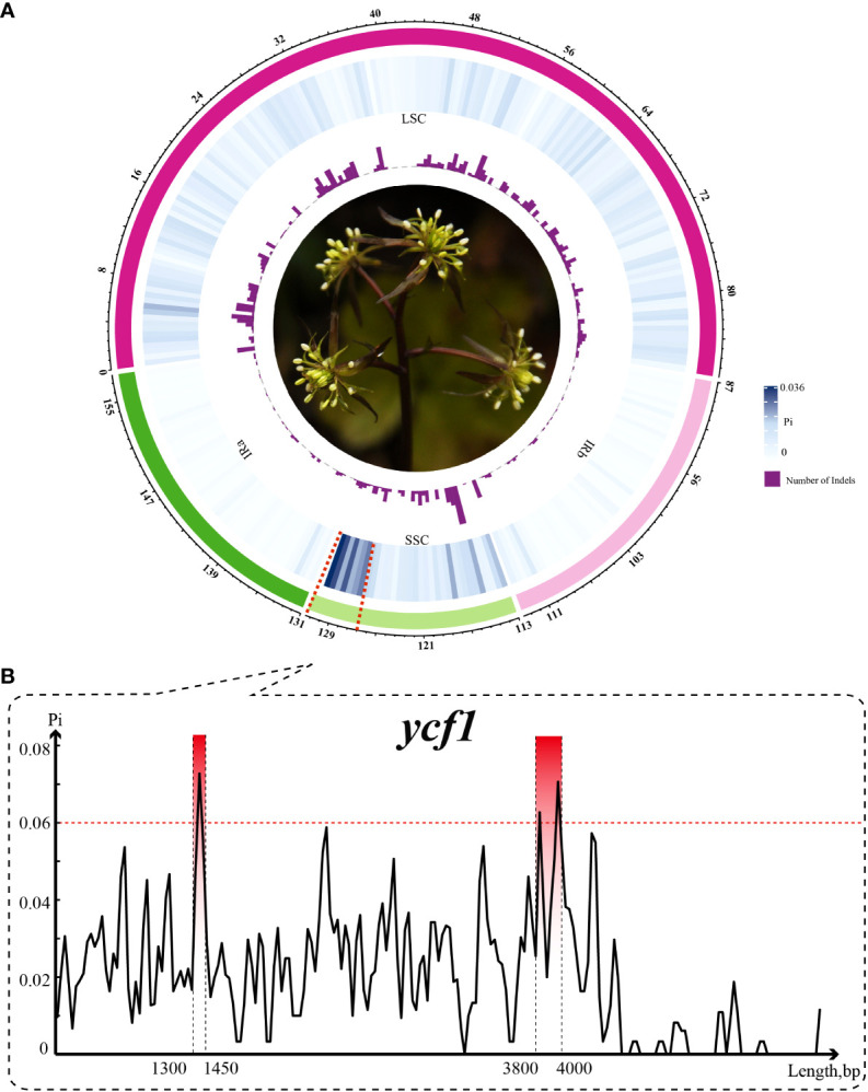 Figure 1