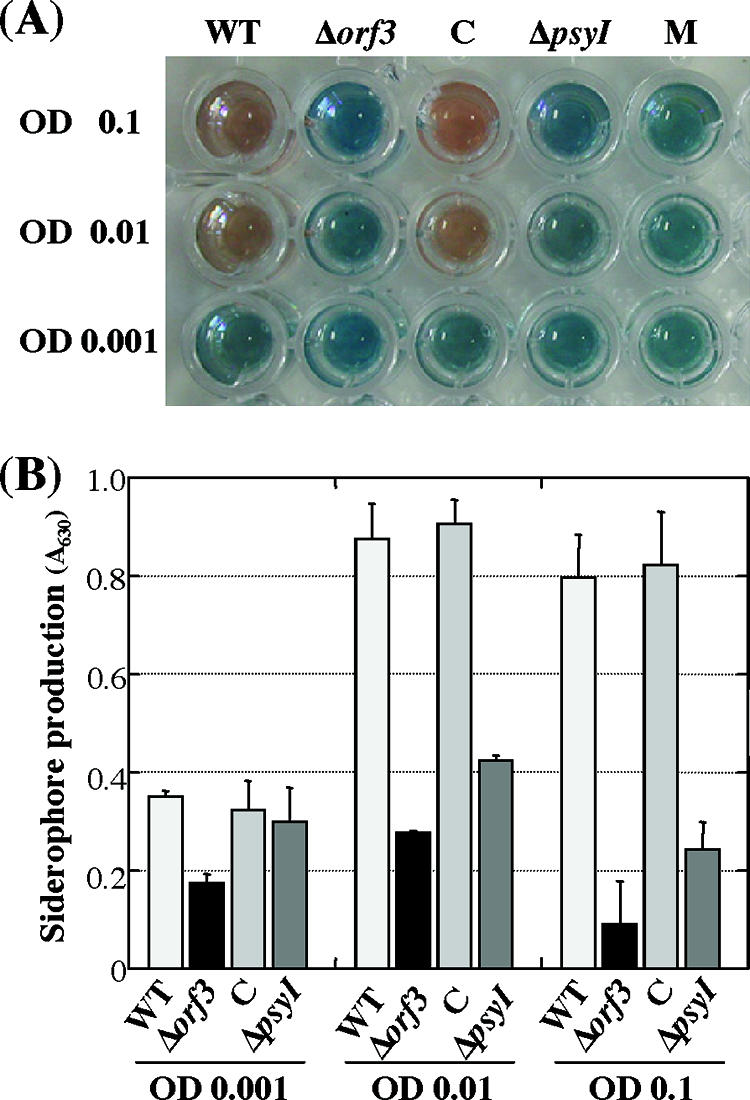 FIG. 6.