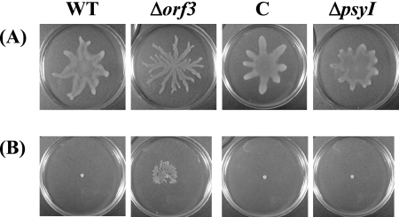 FIG. 4.