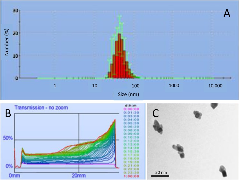 Fig. 1