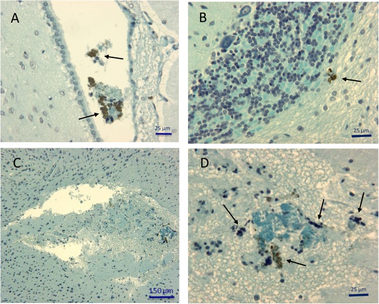 Fig. 8