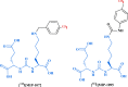 Fig. (6)