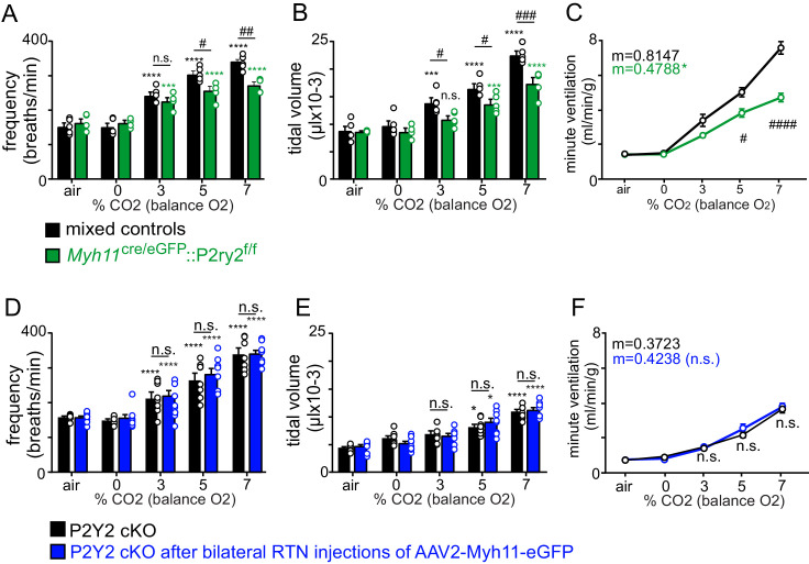 Figure 4—figure supplement 2.