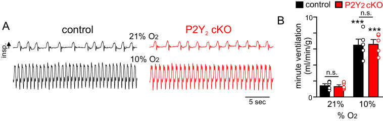 Figure 4—figure supplement 3.