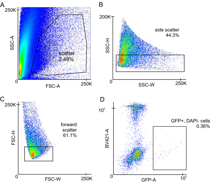 Figure 1—figure supplement 1.