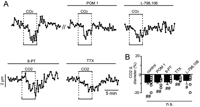 Figure 1—figure supplement 2.