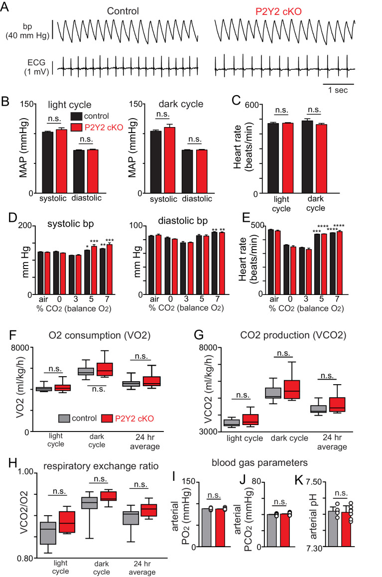 Figure 4—figure supplement 1.