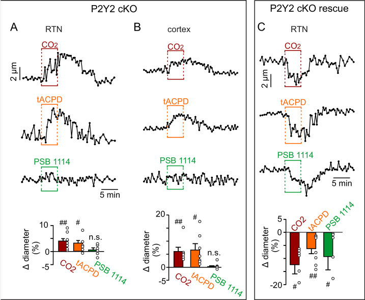 Figure 4—figure supplement 4.