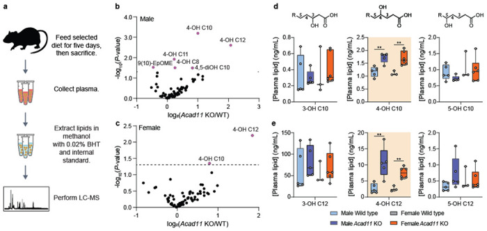 Fig 4.