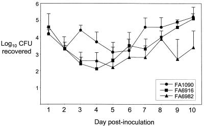 FIG. 1.