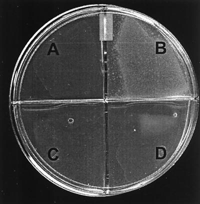 FIG. 5.