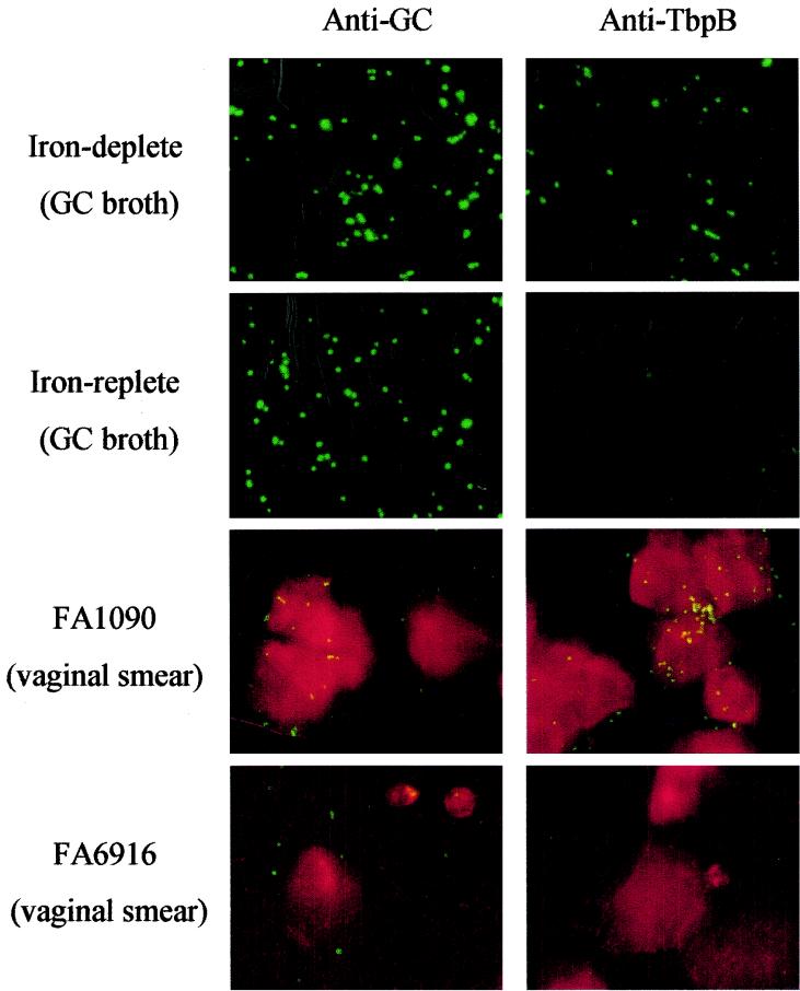 FIG. 6.