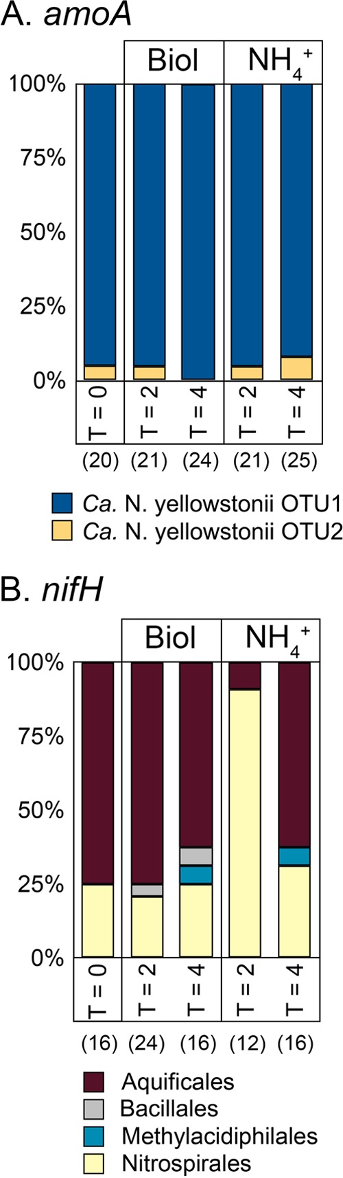 FIG 6