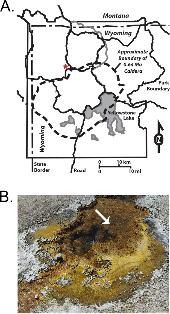 FIG 2