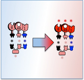 Graphical abstract