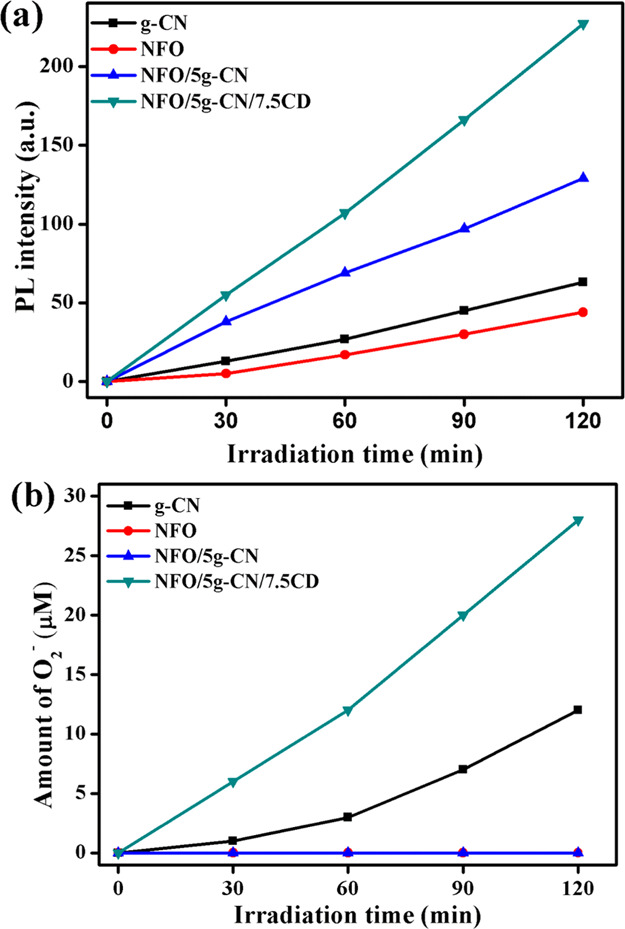 Figure 12