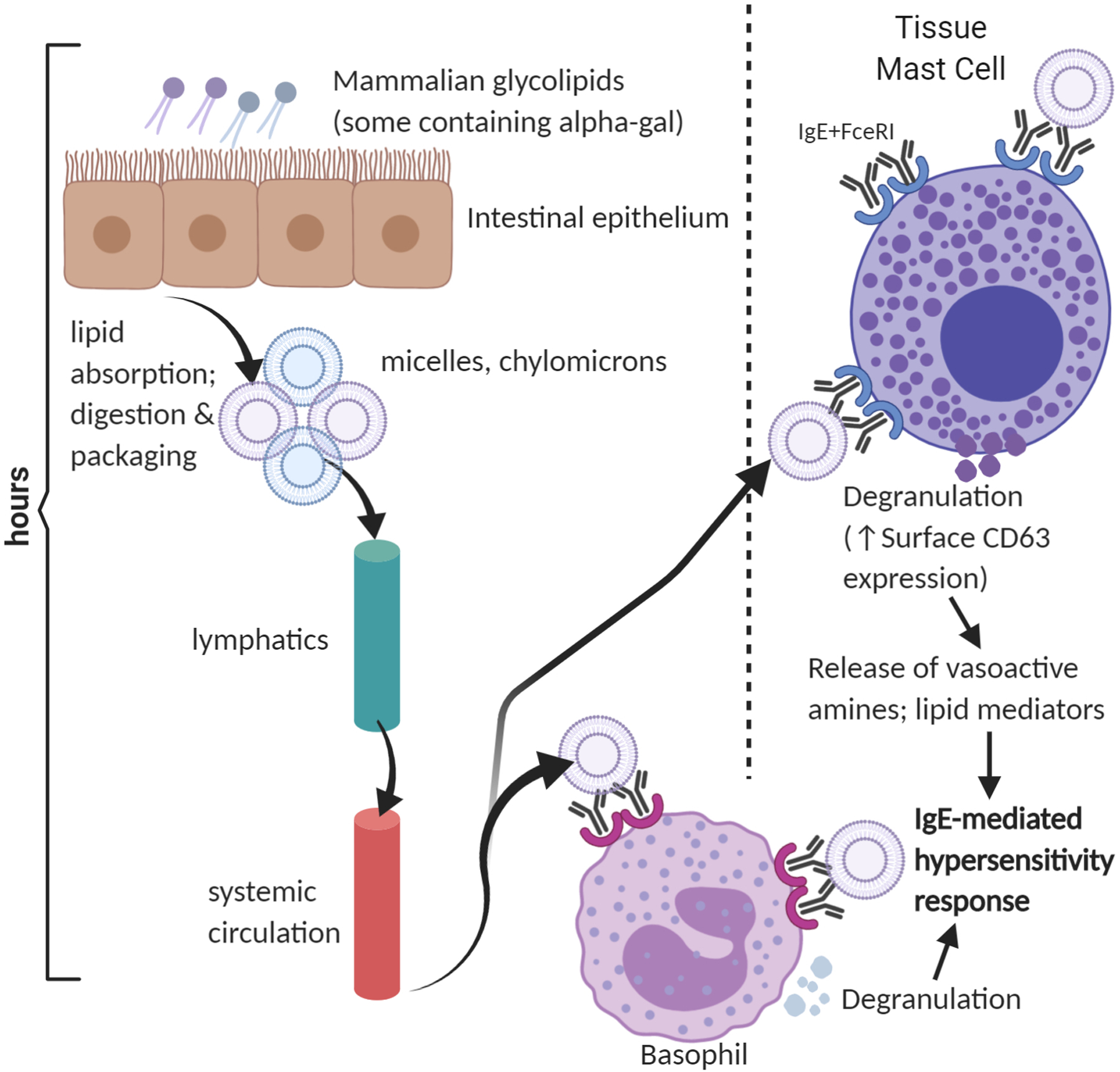 Figure 1: