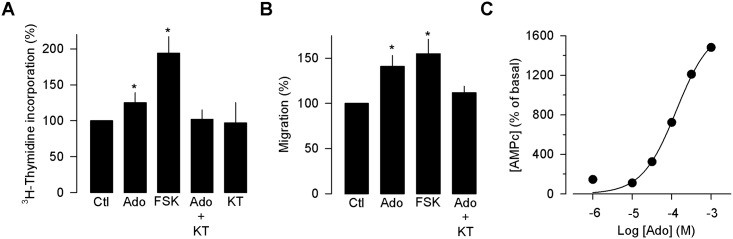 Fig 5