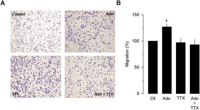 Fig 8