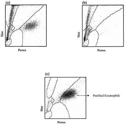 FIG. 5.