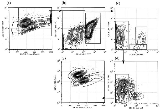 FIG. 2.