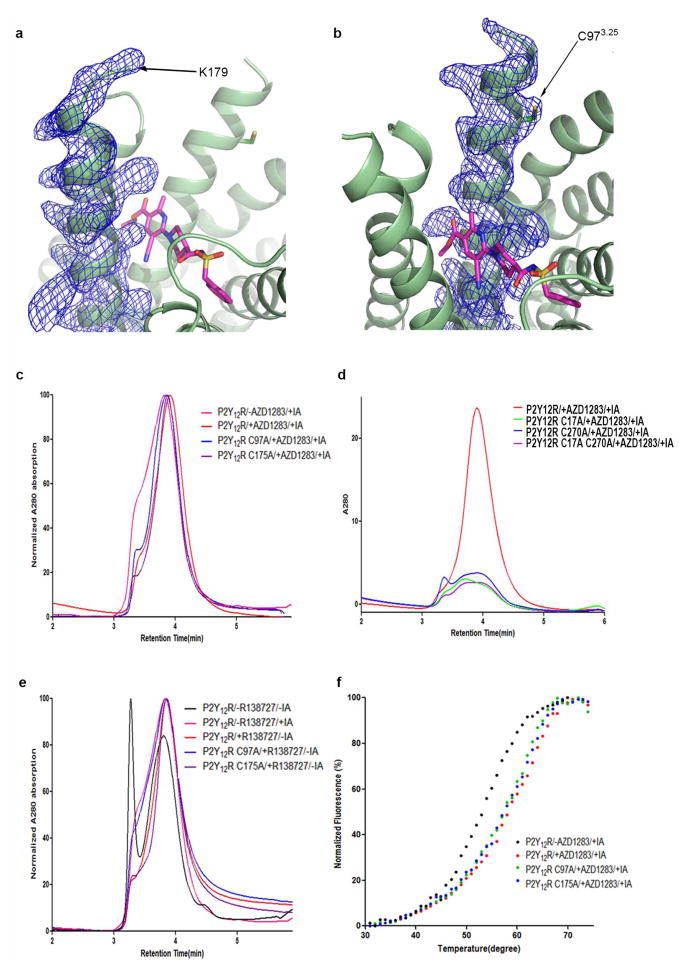 Extended Data Figure 5