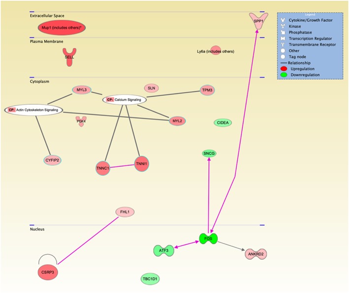 Figure 7