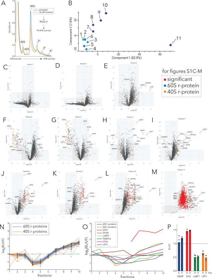 Figure 1—figure supplement 1.