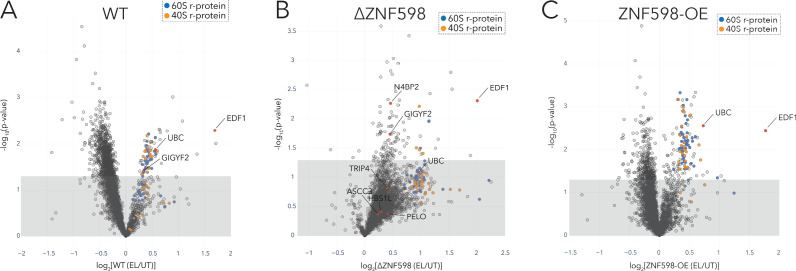 Figure 2—figure supplement 1.