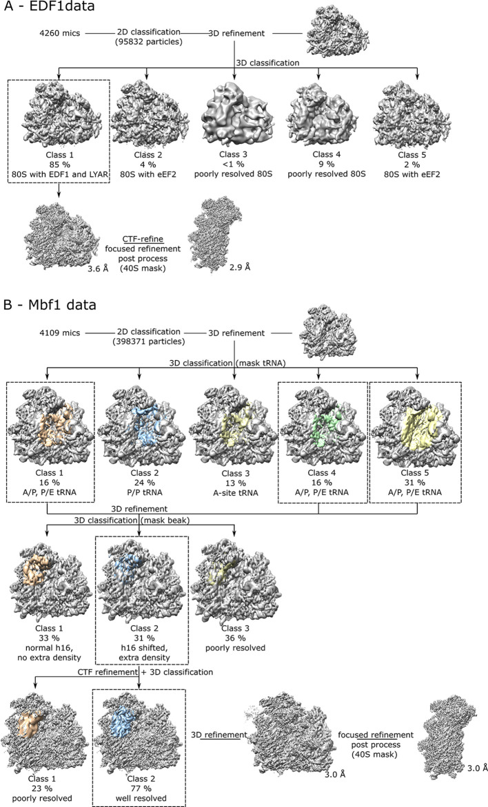 Figure 3—figure supplement 2.