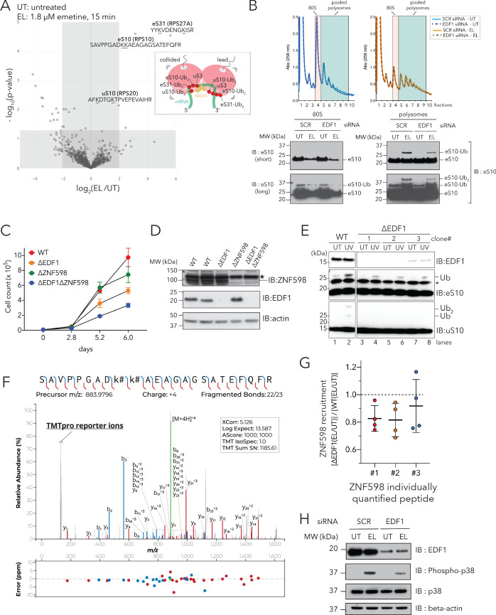 Figure 2—figure supplement 2.