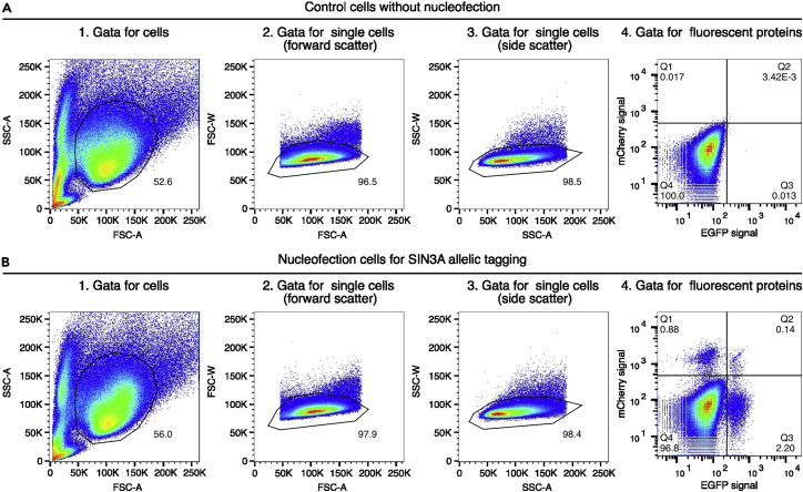 Figure 4