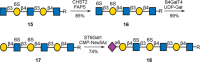 Scheme 3