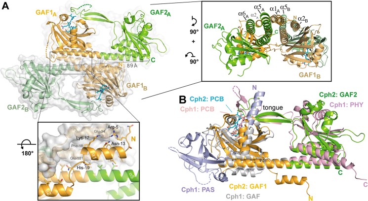 FIGURE 3.