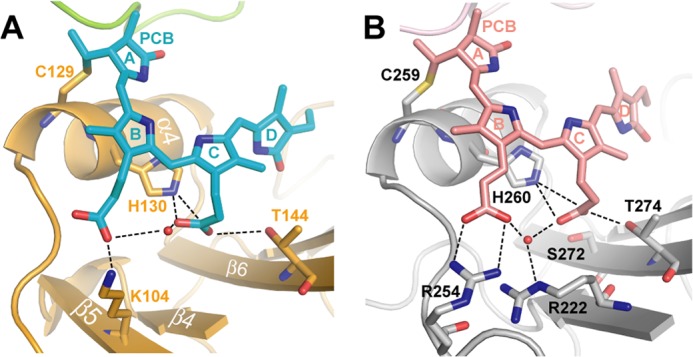 FIGURE 4.