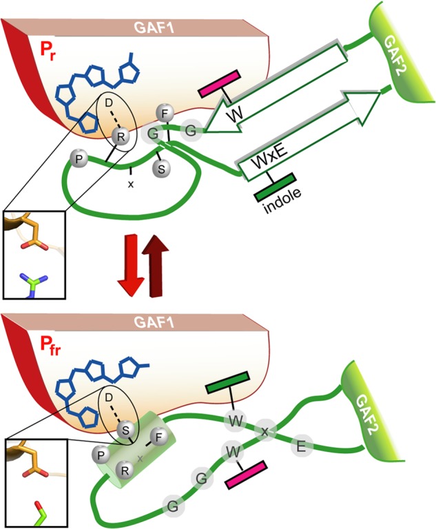 FIGURE 10.