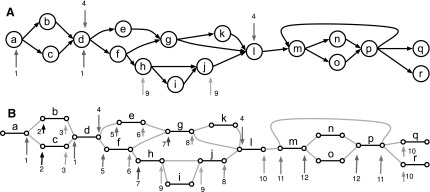 FIG. 2.