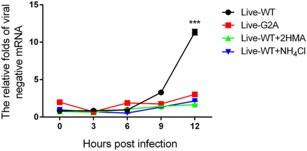 Fig. 4