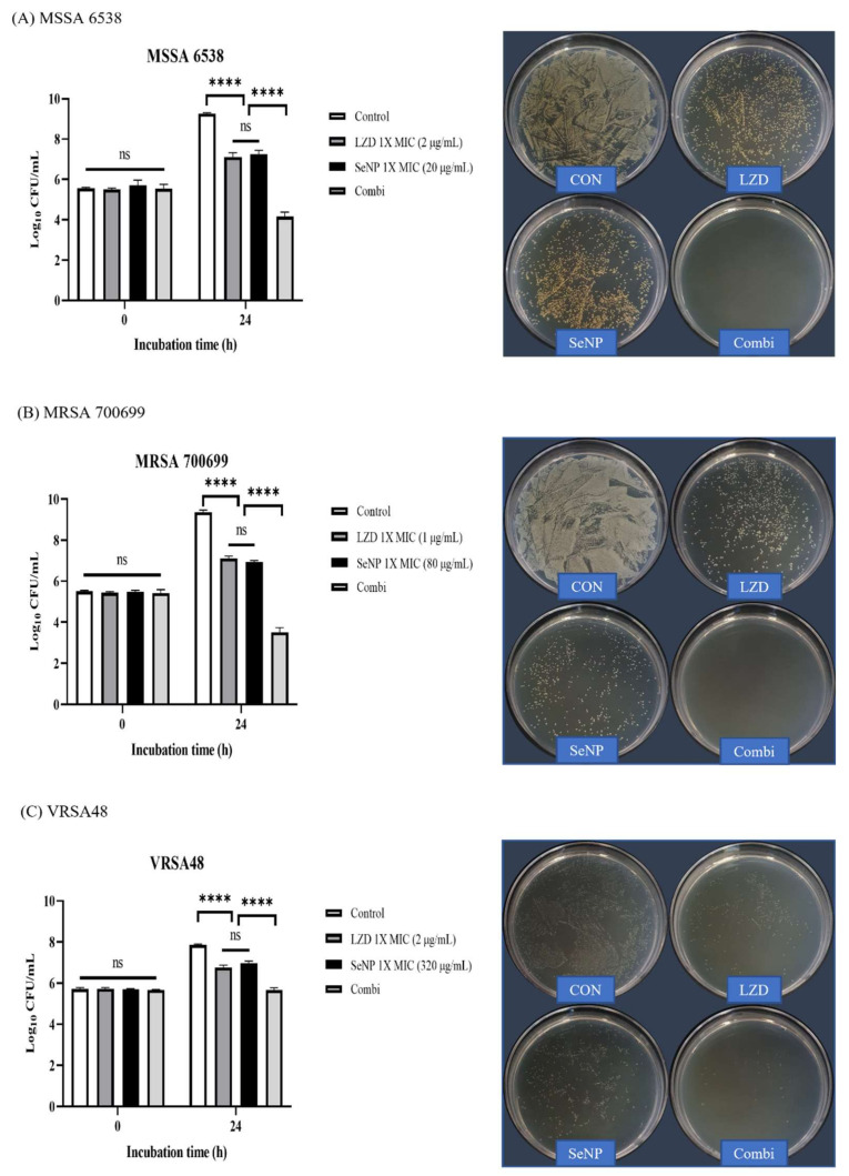 Figure 4