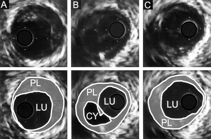 Figure 2  